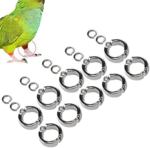 Jadeshay Bird Foot Rings מתכת, 10 יחידות תוכי ציפורים