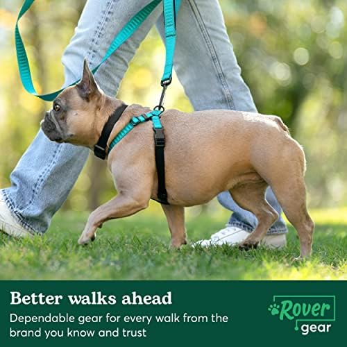 ציוד רובר, רצועת הליכה חיונית לכלבים - ידית מרופדת נוחה, 6 רגל - שחור