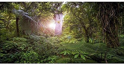 AWERT 30X12 אינץ 'יער עמוק רקע רקע אקווריום טרופי עצים ענקיים שטניים עצים זוחלים זוחלים רקע ויניל