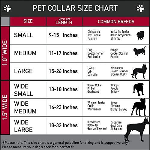 צווארון כלב אבזם אבזם חגורת בטיחות לוגו הפלאש מכוון זהב אדום שחור, צבע רב, רוחב 1.5 - מתאים לצוואר 18-32 - גדול