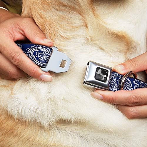 כלב צווארון חגורת בטיחות אבזם פייזלי כחול לבן 11 כדי 17 סנטימטרים 1.0 אינץ רחב