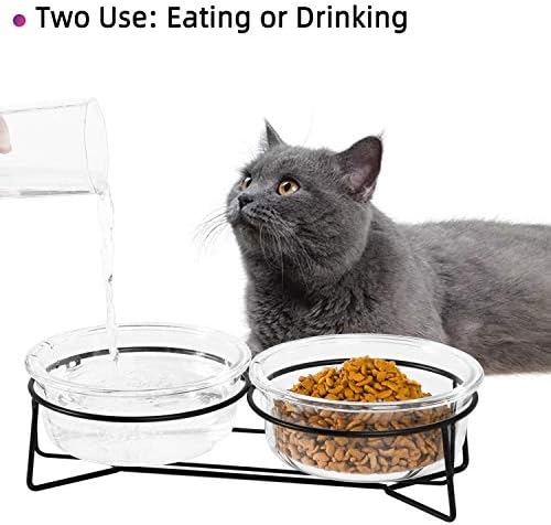 חתול מוגבה כפול זכוכית או קערות כלבים קטנות עם מתכת עמדות למזון ומנות מים לחיות מחמד, 20 אונקיות
